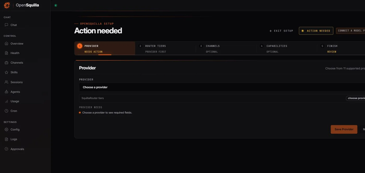 OpenSquilla Web Setup 的 Provider 設定頁面。